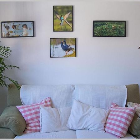 Casa De Los Pajaros Σεβίλλη Εξωτερικό φωτογραφία